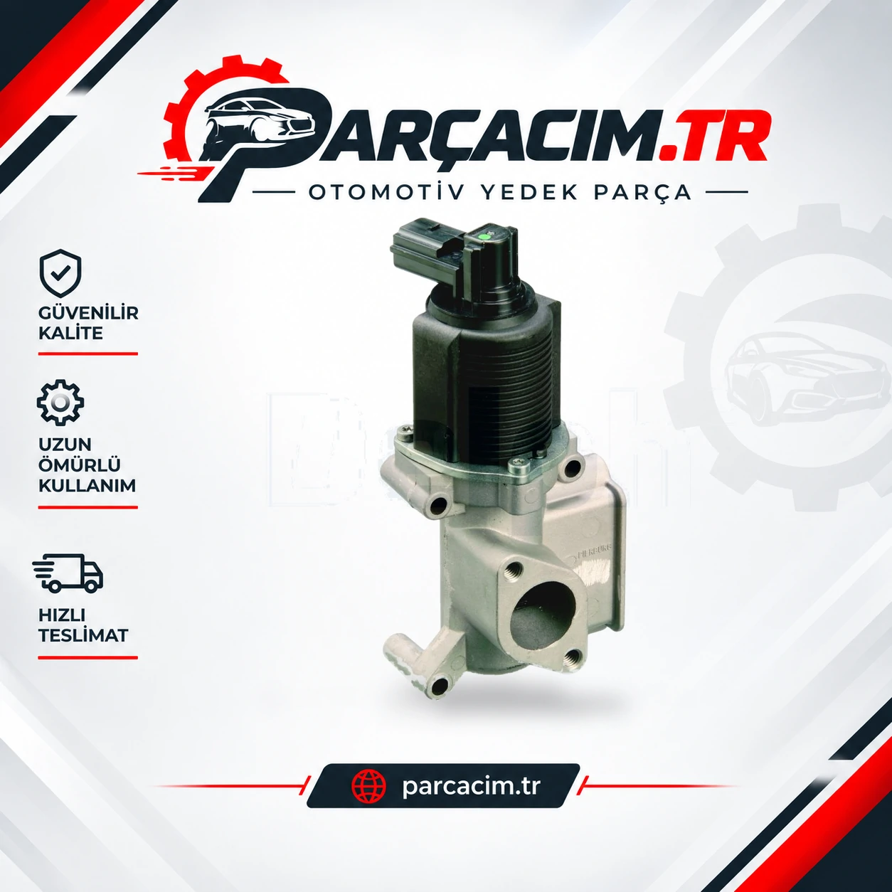 Egr Valfi  DELPHI EG10303-12B1