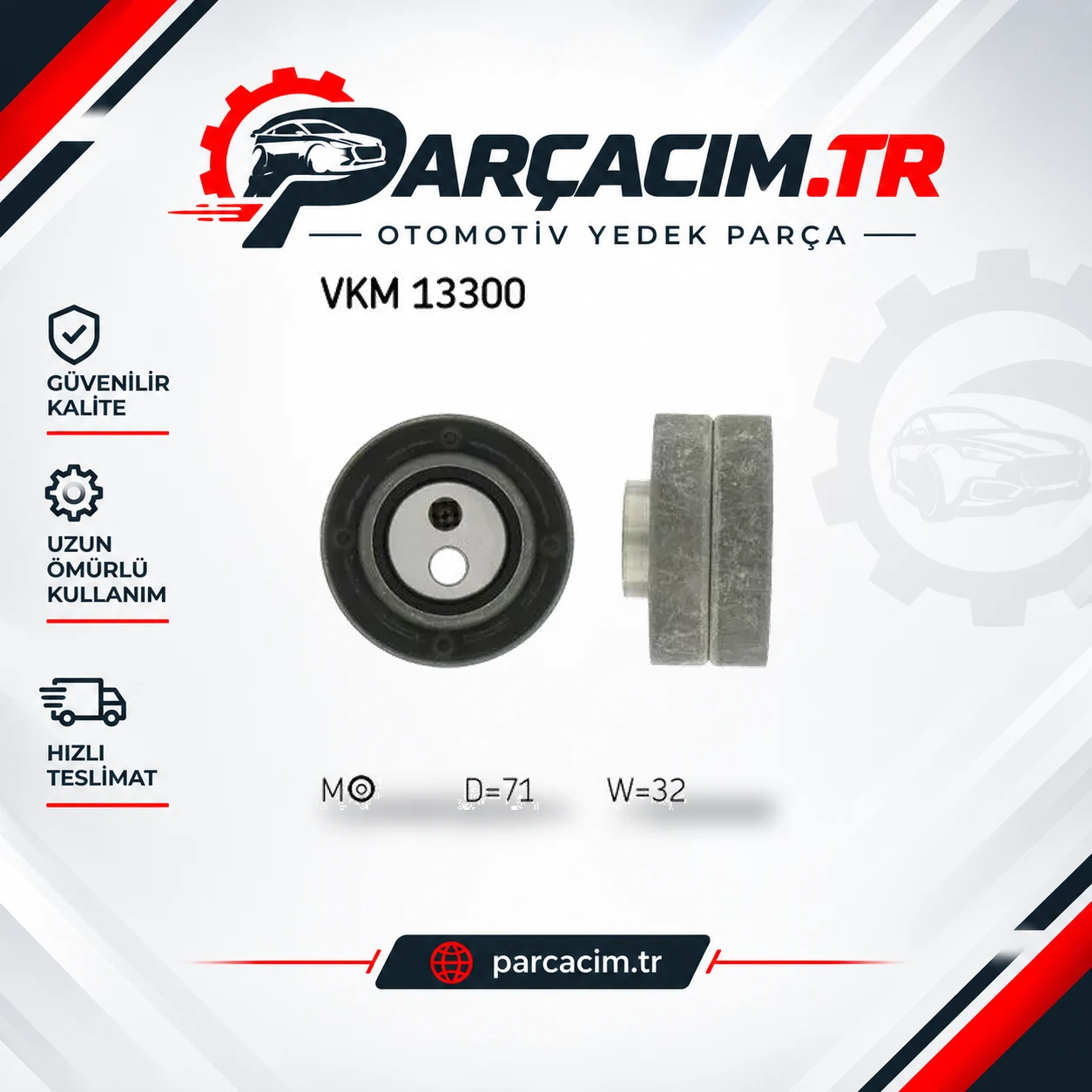 SKF V Kayış Gergi Rulmanı VKM13300
