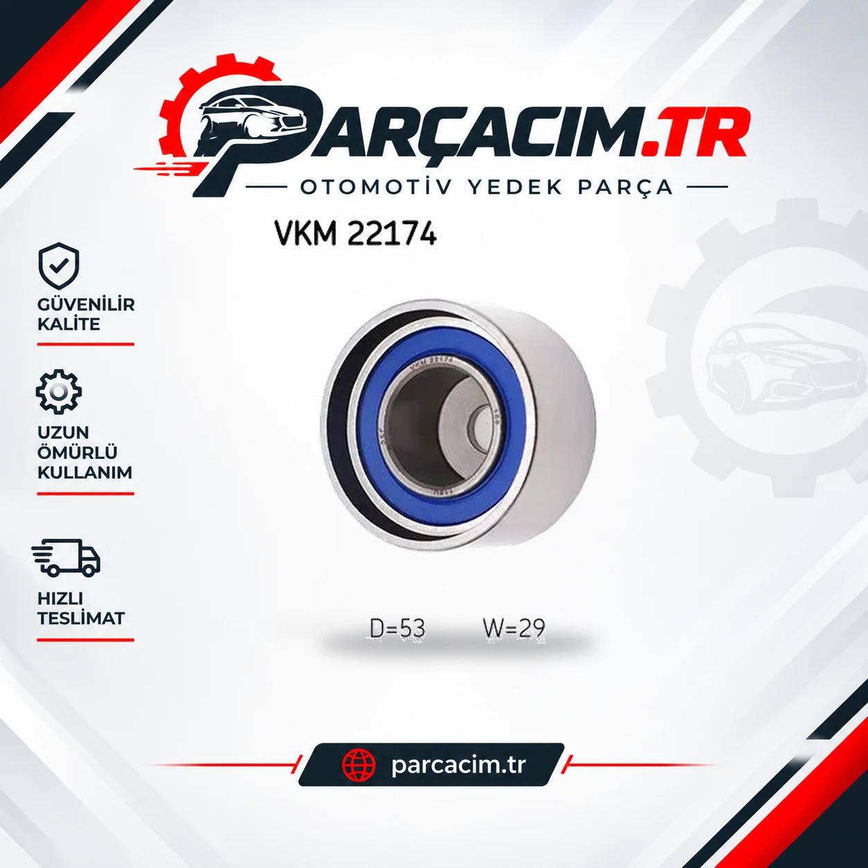 SKF V Kayış Gergi Rulmanı VKM22174