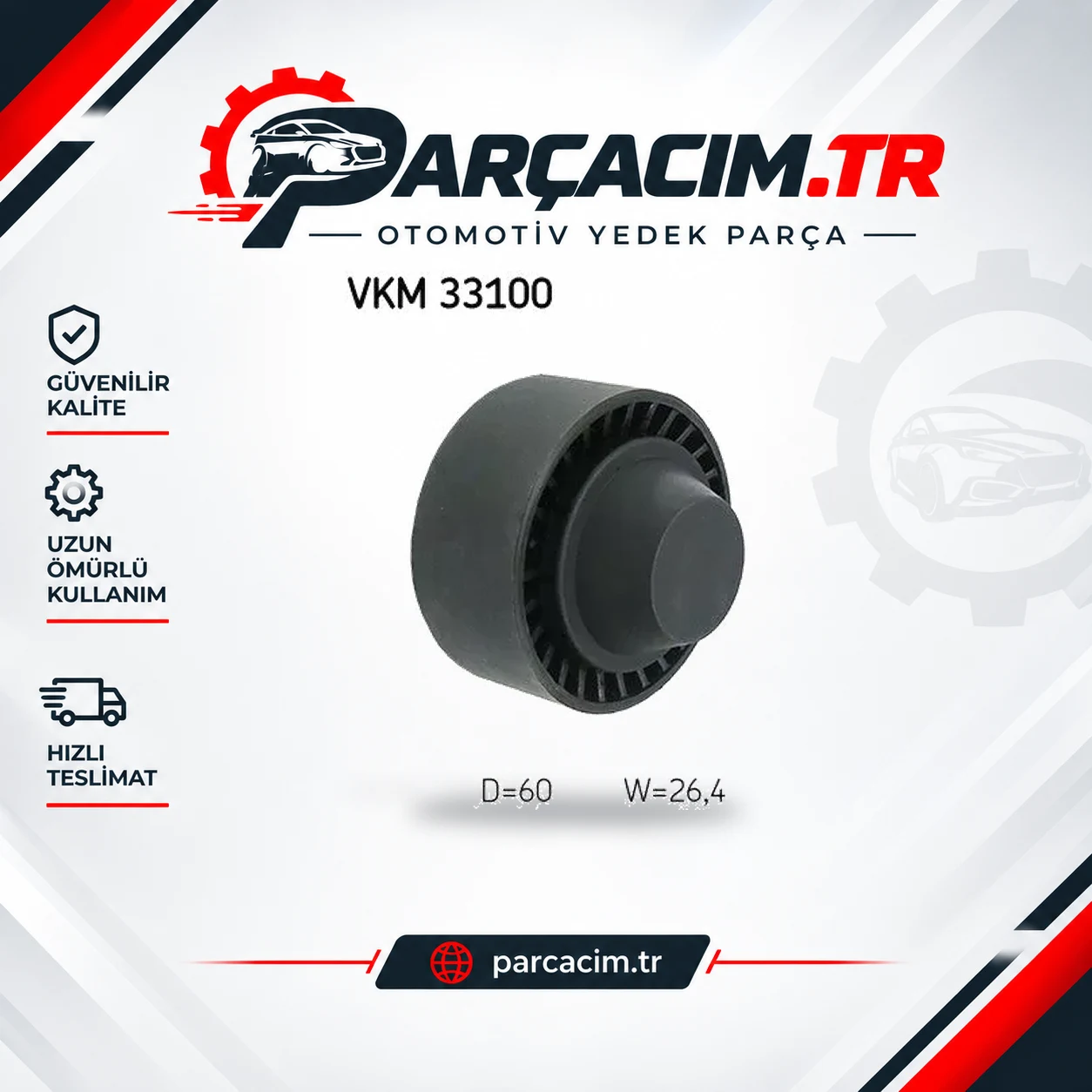 SKF V Kayış Gergi Rulmanı VKM33100